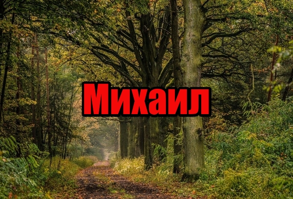 Скачать бесплатно открытки с мужскими именами. С днём рождения Михаил открытк...