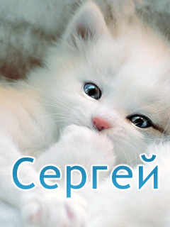 Поздравительные открытки с именем Сергей. С днём рождения Серёжа открытки ска...