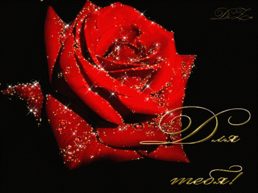 Живые открытки любимой. Розы для тебя. Самые красивые розы для тебя. Открытка для тебя. Живые открытки розы.