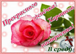 Открытки с пожеланиями отличной среды. Красивые открытки на среду.