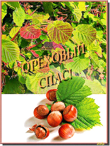 Оригинальные открытки с поздравлениями на Ореховый Спас скачать бесплатно.