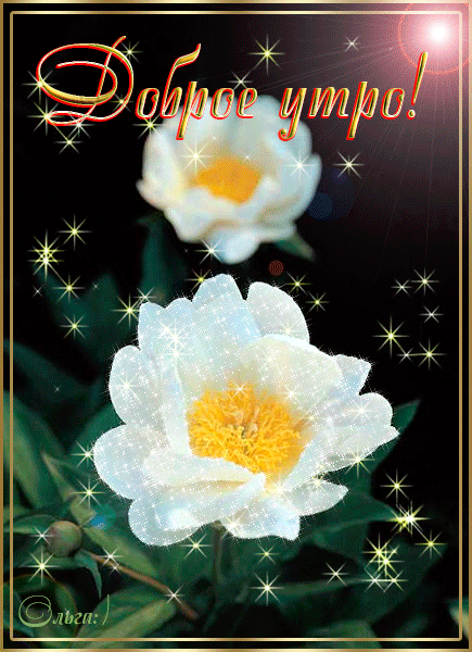 Открытка с пожеланиями доброго утра на каждый день скачать бесплатно 