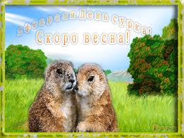 Веселые открытки с приколами на день сурка скачать бесплатно