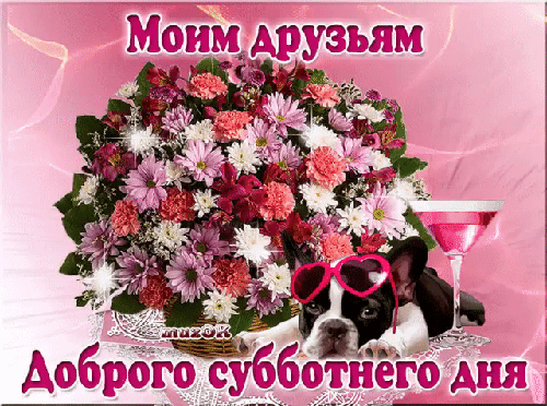 Интересные открытки на субботу. Веселые открытки на выходные.