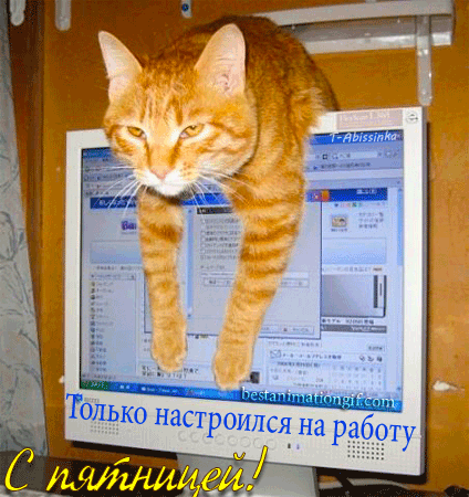 Прикольные открытки на пятницу. Открытки с пожеланиями на пятницу скачать бес...