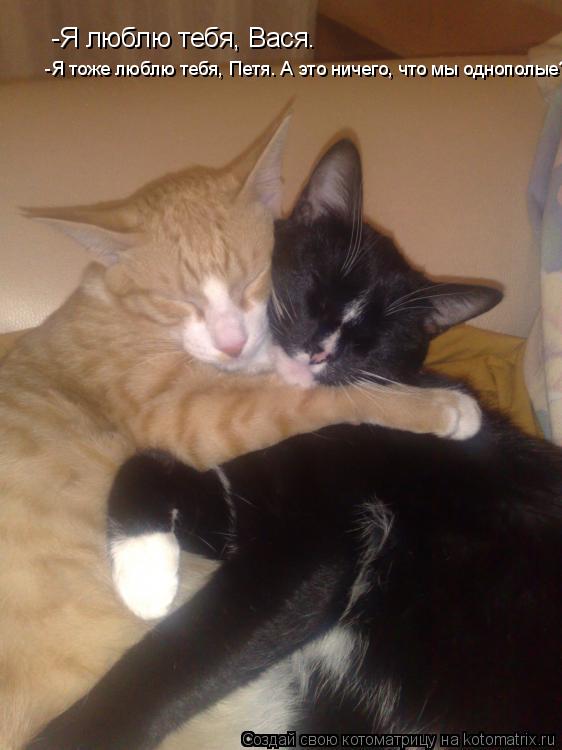 Анимационные открытки с именем Василий. Открытки с днём рождения Вася.