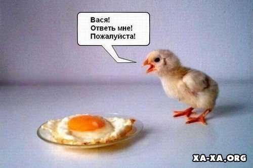 Анимационные открытки с именем Василий. Открытки с днём рождения Вася.