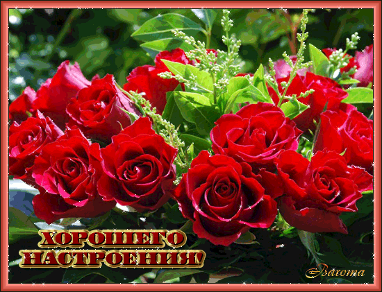 Позитивные открытки с пожеланиями хорошего настроения скачать бесплатно.