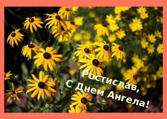 Открытки с именем Ростик скачать бесплатно. Открытки с мужскими именами. С дн...