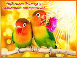 Открытки с пожеланиями хорошего дня. Скачать бесплатно открытки удачного дня.