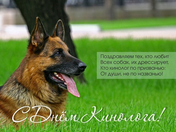 Открытки с пожеланиями на день кинолога скачать бесплатно.    