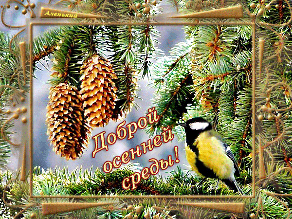 Открытки с пожеланиями отличной среды. Красивые открытки на среду.