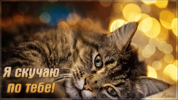 Анимационные открытки скучаю по тебе. Открытки я так скучаю скачать бесплатно.