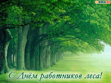 Открытки с днём работника леса с поздравлениями. Красивые открытки на день ле...