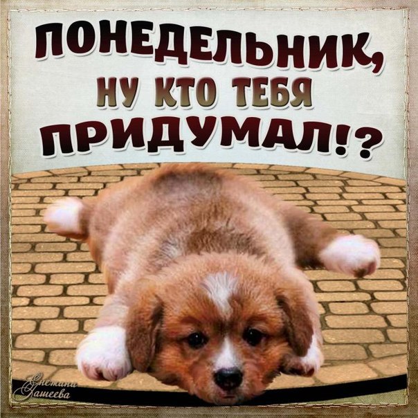 Открытки с пожеланиями легкого понедельника скачать бесплатно.