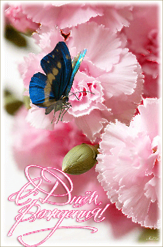 Мерцающие открытки с бабочками. Открытки с красивыми бабочками скачать беспла...