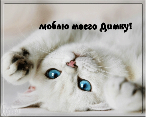 Открытки с именем Дмитрий скачать бесплатно. Анимационные открытки с именем Д...