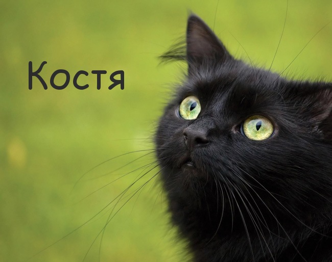 Открытки с именем Константин gif. С днём рождения Костя открытки. Открытки с ...