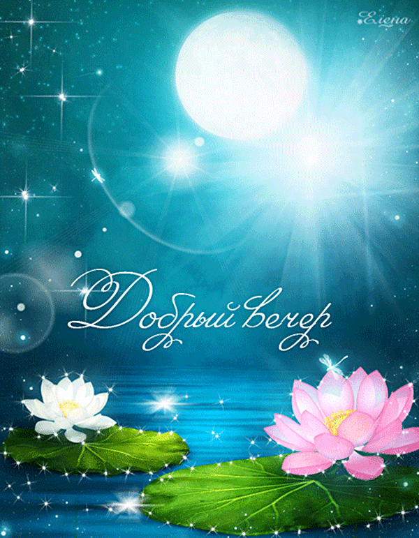 Анимационные открытки приятного вечера. Скачать бесплатно открытки хорошего в...