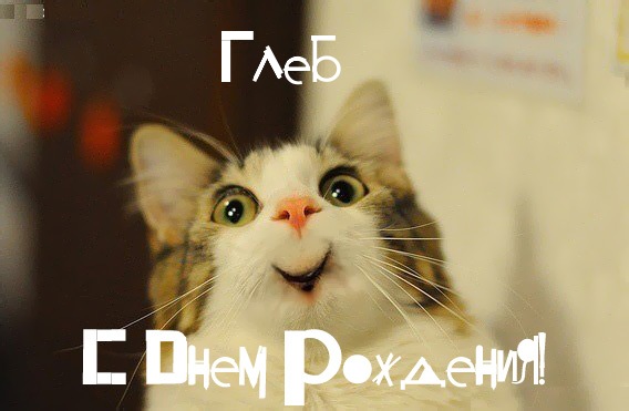 Анимационные открытки с именем Глеб. Открытки с днём рождения Глеб.