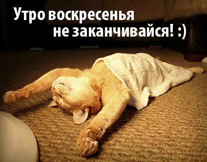 Мерцающие открытки про воскресенье. Открытки на воскресное утро.