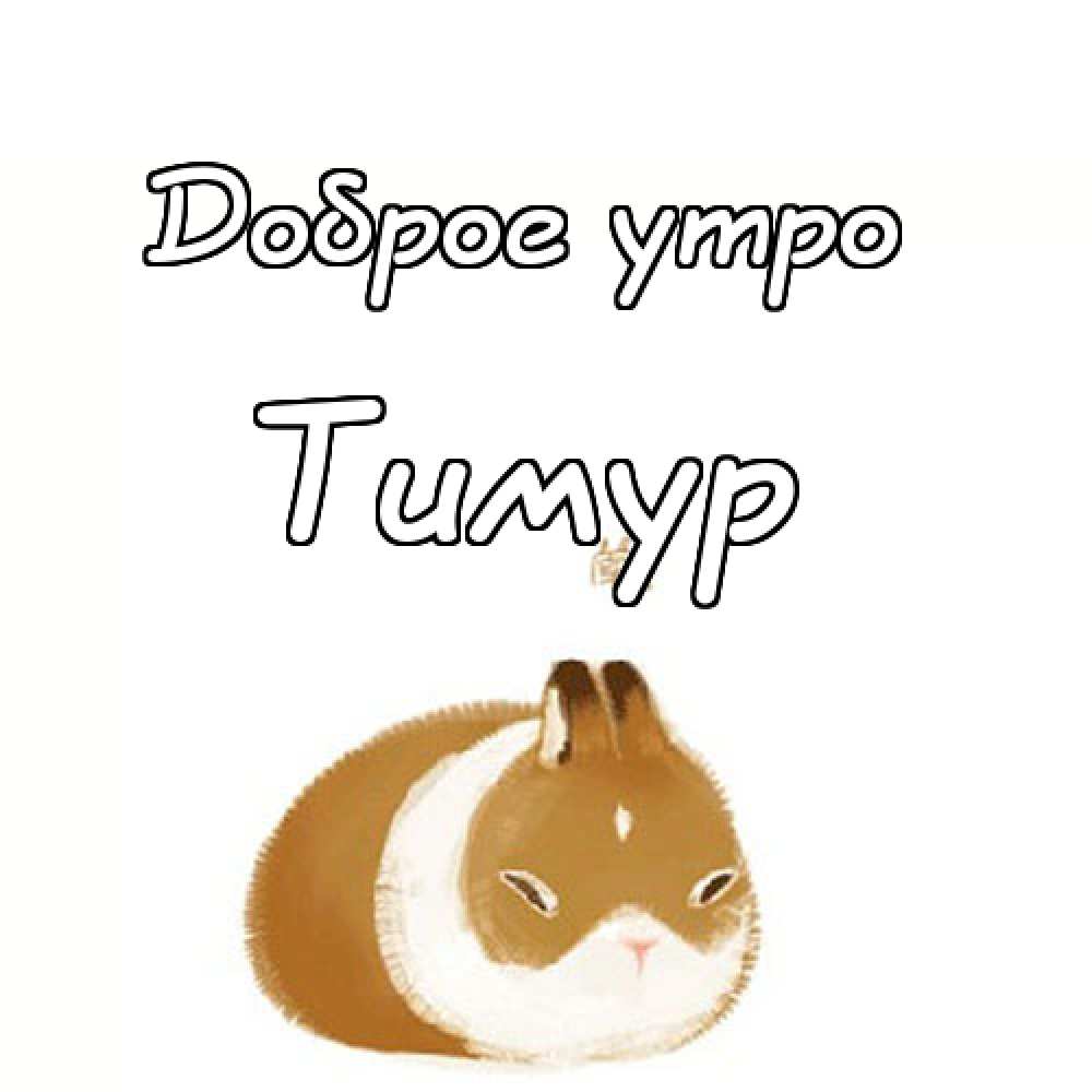 Открытки с именем Тима. С днём рождения Тимур открытки. Поздравительные Откры...