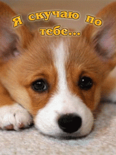 Анимационные открытки скучаю по тебе. Открытки я так скучаю скачать бесплатно.