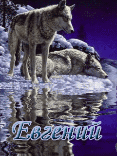 Открытки с именем Евгений gif. Открытки с днём рождения Женя. Открытки с имен...