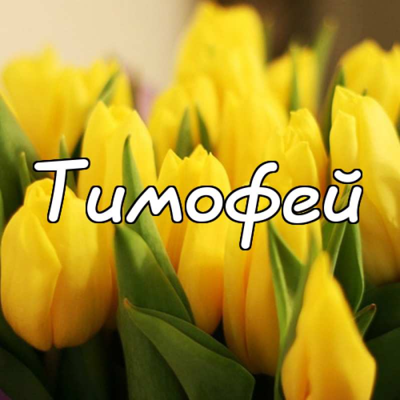 Анимационные открытки с именем Тимофей. Открытки с мужскими именами с поздрав...