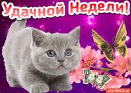 Забавные открытки с пожеланиями удачной недели. Открытки удачной недели скача...