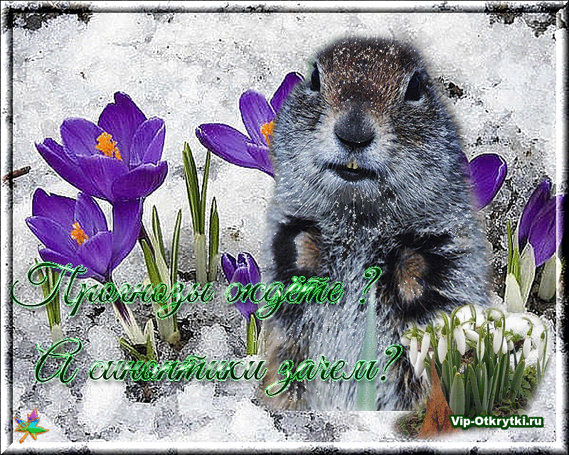 Красивые мерцающие открытки на весеннюю тематику. Скачать бесплатно открытки ...