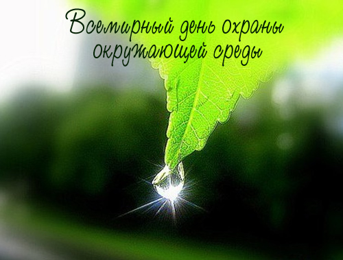 Открытки с днем эколога скачать бесплатно. Открытки на Всемирный день защиты ...