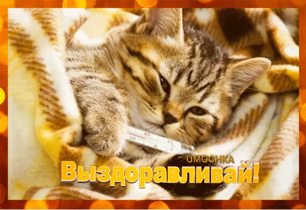 Открытки скорейшего выздоровления скачать бесплатно в формате gif.