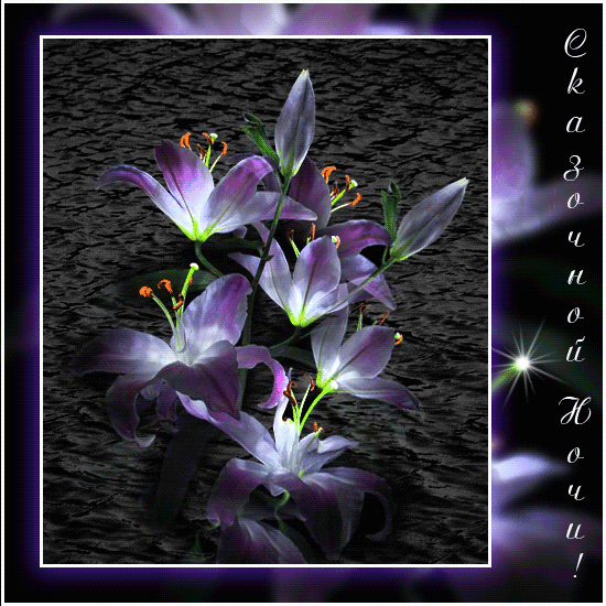 Гифки с пожеланиями на ночь. Открытки с пожеланиями спокойной ночи