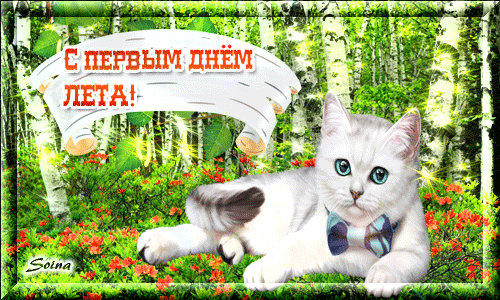 Открытки с первым днем лета скачать бесплатно. Поздравления с началом лета.