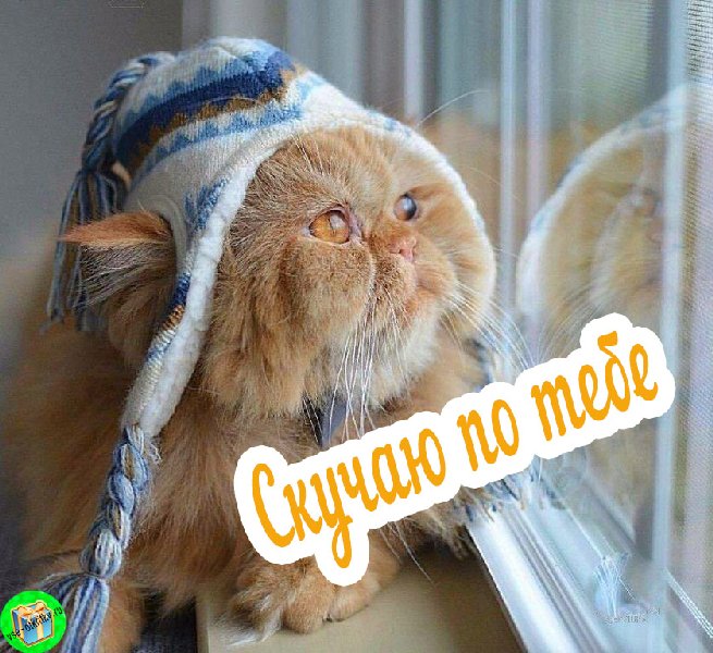 Анимационные открытки скучаю по тебе. Открытки я так скучаю скачать бесплатно.