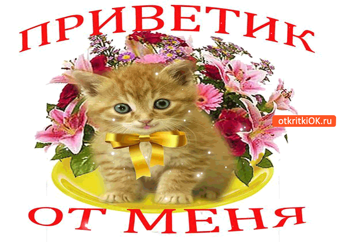 Красивые анимационные открытки с различными приветствиями скачать бесплатно.