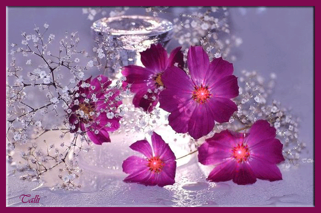 Красивые анимационные открытки с цветами на любой вкус бесплатно.