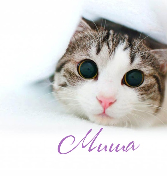 Скачать бесплатно открытки с мужскими именами. С днём рождения Михаил открытк...