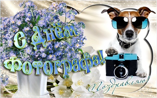 Поздравительные открытки с днем фотографа скачать бесплатно.