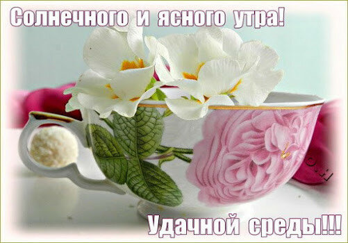 Открытки с пожеланиями отличной среды. Красивые открытки на среду.