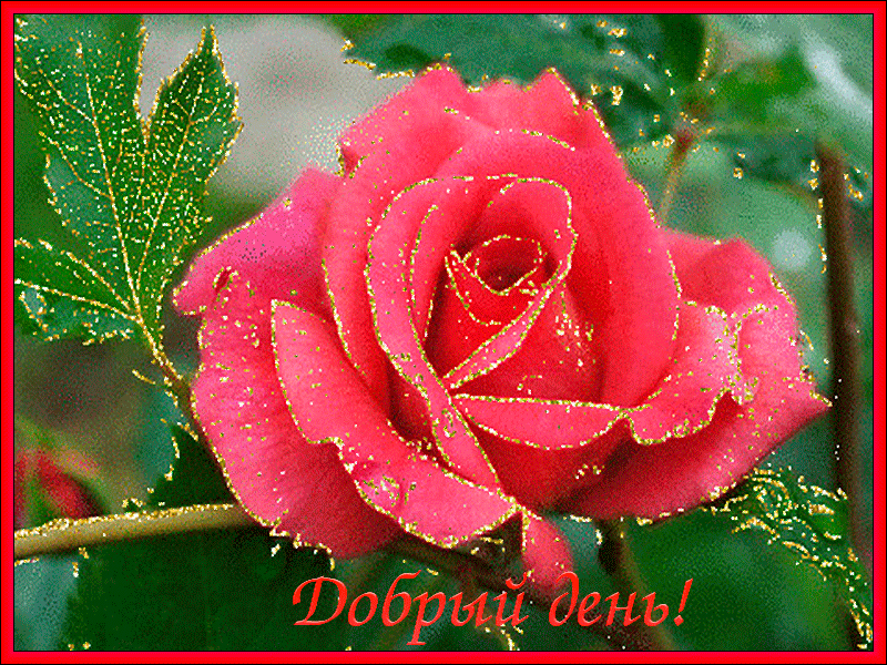 Открытки с пожеланиями хорошего дня. Скачать бесплатно открытки удачного дня.