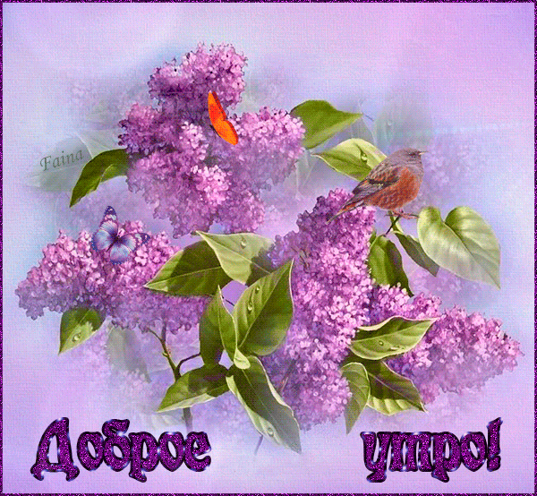 Открытка с пожеланиями доброго утра на каждый день скачать бесплатно 