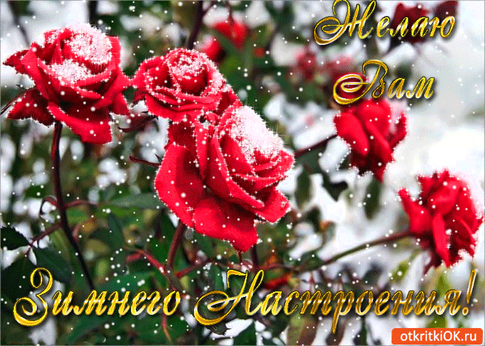 Позитивные открытки с пожеланиями хорошего настроения скачать бесплатно.