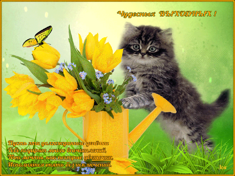 Прекрасных выходных картинки весенние