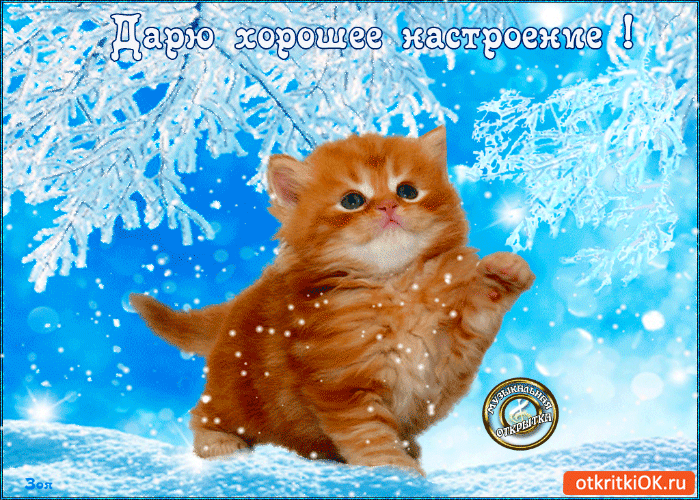 Позитивные открытки с пожеланиями хорошего настроения скачать бесплатно.