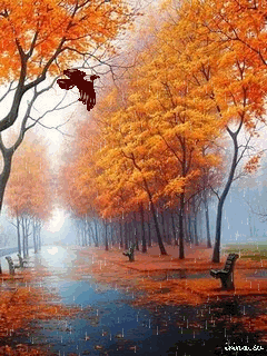 Оригинальные открытки с изображением осени. Открытки осень скачать бесплатно.