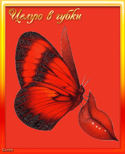 Картинки целую тебя мужчине гифки