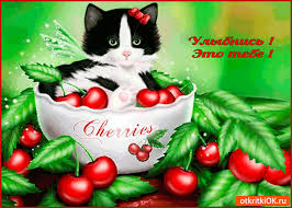 Весёлые открытки с пожеланиями улыбнись. Открытки с улыбкой скачать бесплатно.