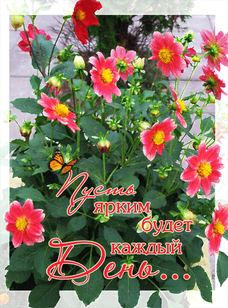 Открытки с пожеланиями хорошего дня. Скачать бесплатно открытки удачного дня.